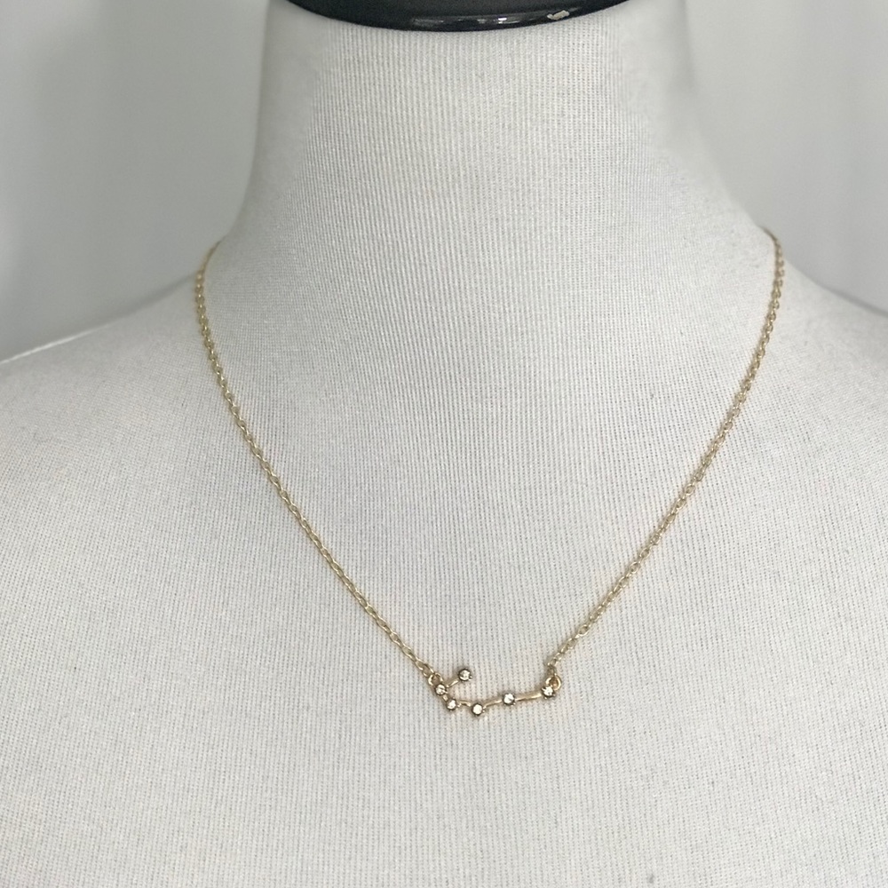 Capricorn Zodiac Necklace NWT!!